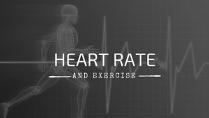 heart rate and exercise